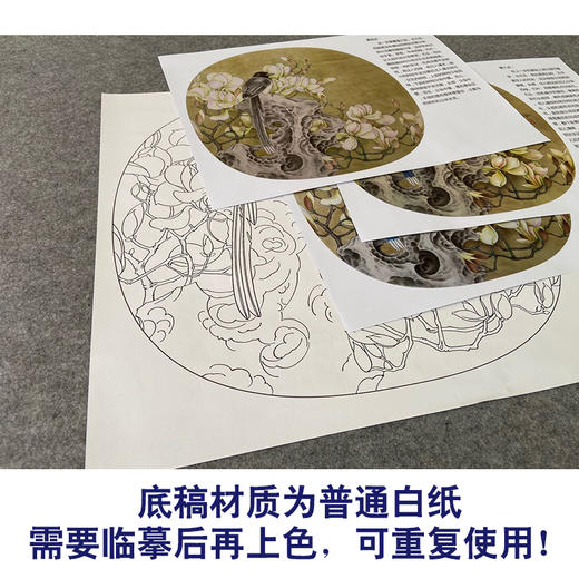 【有步骤、大彩图】郑玲玲工笔画白描底稿小品《静思春意》广玉兰初学者临摹花鸟线稿ZL67 商品图3