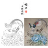 【有步骤、大彩图】郑玲玲工笔画白描底稿《暮暮朝朝》牡丹锦鸡初学者临摹花鸟线稿ZL53 商品缩略图0