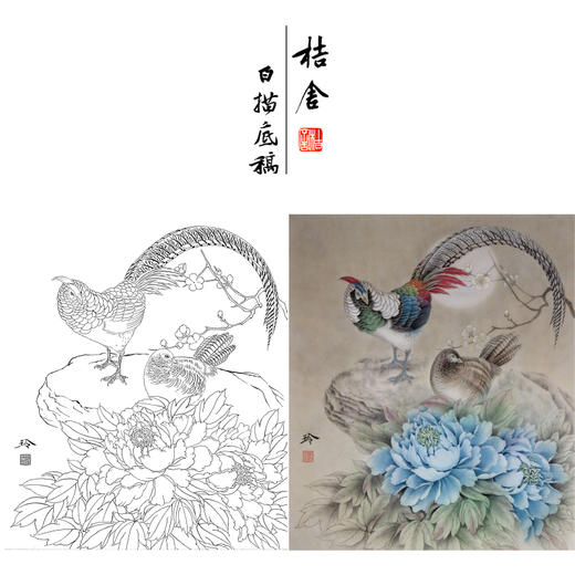 【有步骤、大彩图】郑玲玲工笔画白描底稿《暮暮朝朝》牡丹锦鸡初学者临摹花鸟线稿ZL53 商品图0