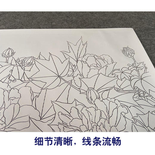 【有步骤、大彩图】郑玲玲横幅工笔花鸟画白描稿《雍容华贵》牡丹初学者临摹花鸟线稿ZL93 商品图4