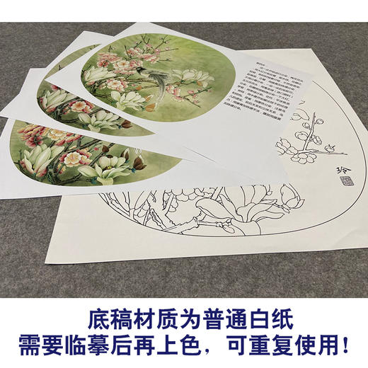 【有步骤、大彩图】郑玲玲工笔画白描底稿《喜顺图》梅花小品初学者临摹花鸟线稿ZL73 商品图3