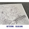 【有步骤、大彩图】郑玲玲工笔画白描底稿《花开锦绣》牡丹锦鸡初学者临摹花鸟线稿ZL56 商品缩略图4
