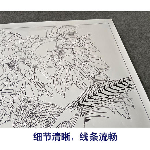 【有步骤、大彩图】郑玲玲工笔画白描底稿《花开锦绣》牡丹锦鸡初学者临摹花鸟线稿ZL56 商品图4
