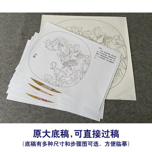 【有步骤、大彩图】郑玲玲工笔画白描底稿小品《玉堂富贵图》玉兰花初学者临摹花鸟线稿ZL65 商品图1