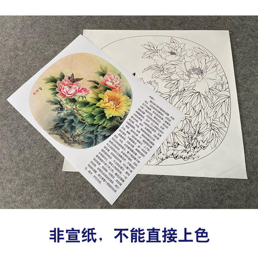 【有步骤、大彩图】郑玲玲工笔画白描稿小品《春光和煦》牡丹蝴蝶初学者临摹花鸟线稿ZL77 商品图2