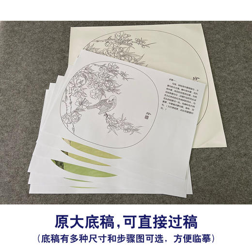 【有步骤、大彩图】郑玲玲工笔画白描底稿小品《一缕清香一份醉》桃花麻雀初学者临摹花鸟线稿ZL68 商品图1