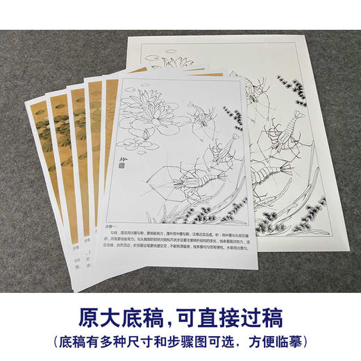 【有步骤、大彩图】郑玲玲工笔画白描底稿《虾趣图》荷花大虾初学者临摹花鸟线稿ZL49 商品图1