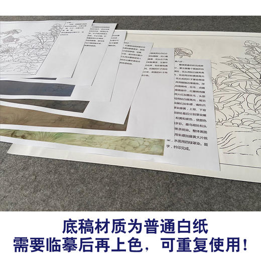 【有步骤、大彩图】郑玲玲工笔画白描底稿小品《春和景明》牡丹锦鸡初学者临摹花鸟线稿ZL58 商品图3