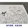 【有步骤、大彩图】郑玲玲工笔画白描稿小品《春光和煦》牡丹蝴蝶初学者临摹花鸟线稿ZL77 商品缩略图4