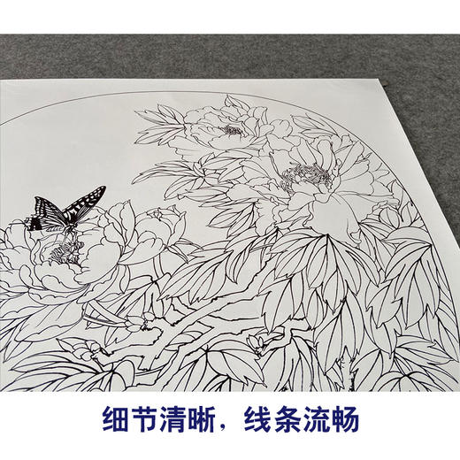 【有步骤、大彩图】郑玲玲工笔画白描稿小品《春光和煦》牡丹蝴蝶初学者临摹花鸟线稿ZL77 商品图4