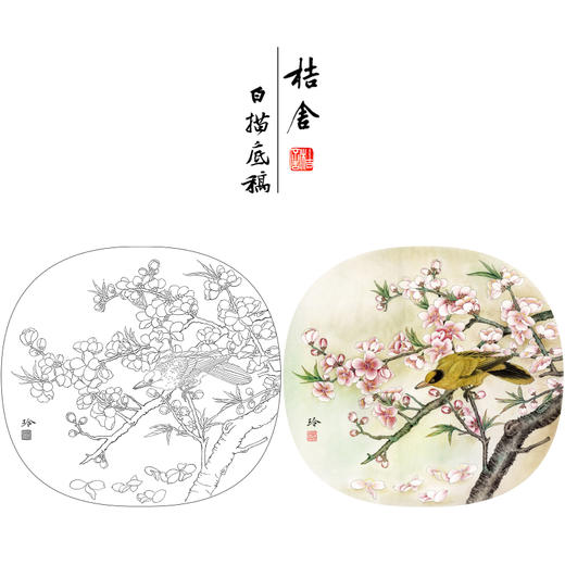 【有步骤、大彩图】郑玲玲工笔画白描底稿小品《飞花轻似梦》桃花黄鹂初学者临摹花鸟线稿ZL69 商品图0