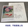 【有步骤、大彩图】郑玲玲工笔画白描底稿《福贵有鲤》牡丹鲤鱼初学者临摹花鸟线稿ZL46 商品缩略图2