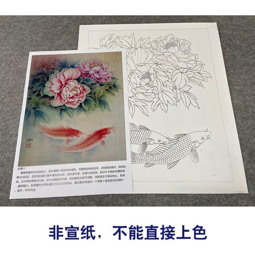 【有步骤、大彩图】郑玲玲工笔画白描底稿《福贵有鲤》牡丹鲤鱼初学者临摹花鸟线稿ZL46 商品图2