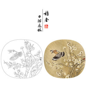 【有步骤、大彩图】郑玲玲工笔画白描底稿小品《戴胜迎春图》梅花戴胜鸟初学者临摹花鸟线稿ZL72