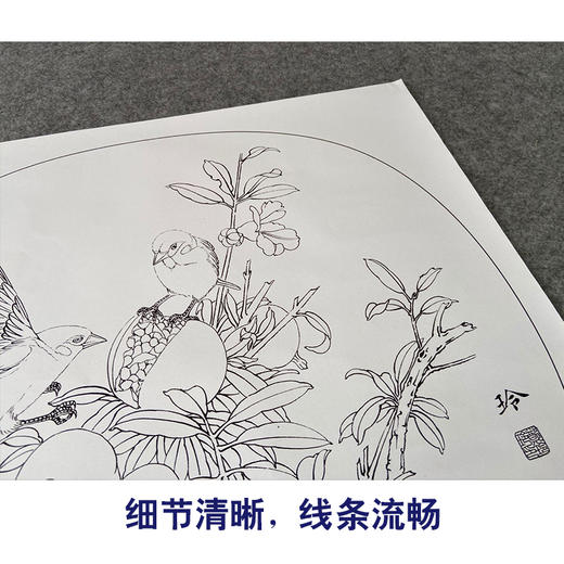 【有步骤、大彩图】郑玲玲工笔画白描底稿小品《硕果满枝头》石榴初学者临摹花鸟线稿ZL84 商品图4