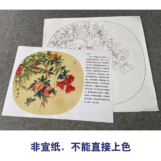 【有步骤、大彩图】郑玲玲工笔画白描底稿小品《硕实》石榴初学者临摹花鸟线稿ZL85 商品图2