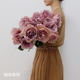 肯尼亚花园Cafe Latte咖啡拿铁12支（预售）