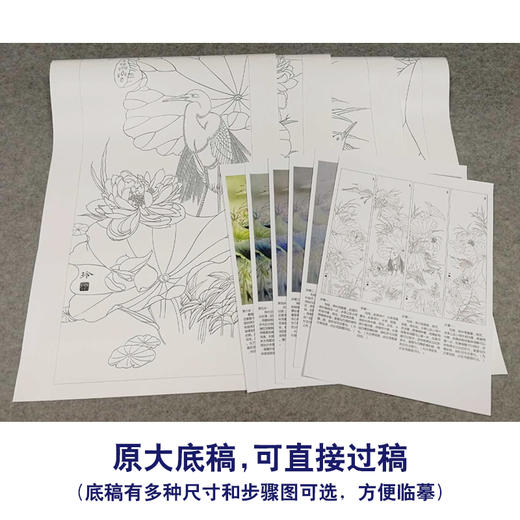 【有步骤、大彩图】郑玲玲工笔画白描底稿四条屏荷花图《荷塘鹭影》ZL99 商品图1