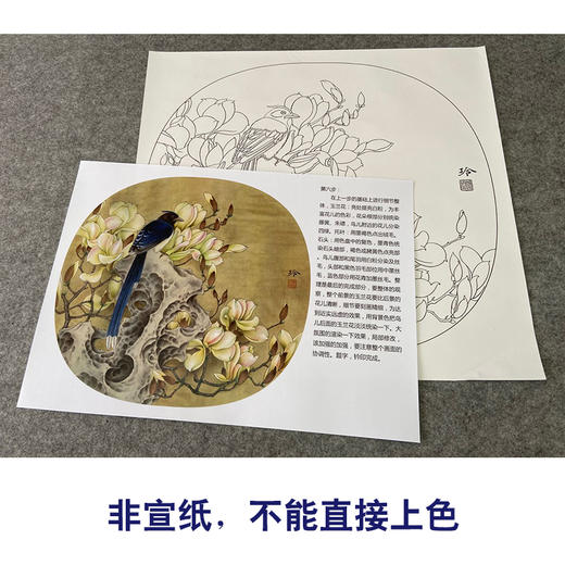 【有步骤、大彩图】郑玲玲工笔画白描底稿小品《静思春意》广玉兰初学者临摹花鸟线稿ZL67 商品图2