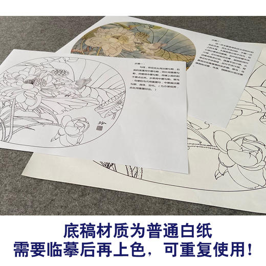 【有步骤、大彩图】郑玲玲工笔画白描底稿小品《碧荷生幽泉》荷花翠鸟初学者临摹花鸟线稿ZL80 商品图3