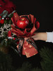 圣诞苹果花束 商品缩略图1