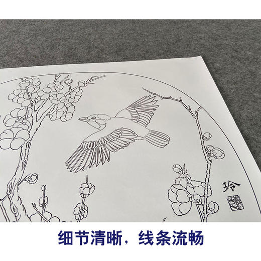 【有步骤、大彩图】郑玲玲工笔画白描底稿小品《一夜清香》梅花初学者临摹花鸟线稿ZL75 商品图4