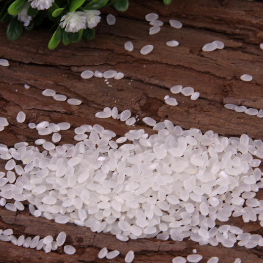 吉林大米 东北大米 天野园小町米 平安镇750g 包邮 商品图3