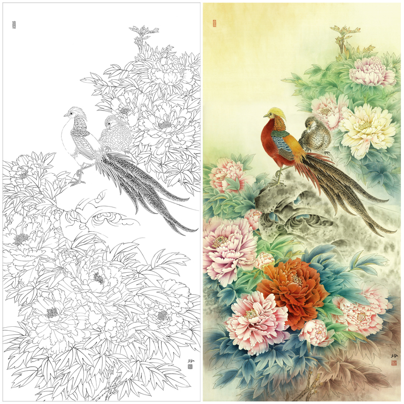【有步骤、大彩图】郑玲玲工笔画白描底稿《 锦羽祥瑞》锦鸡牡丹初学者临摹花鸟线稿ZL97