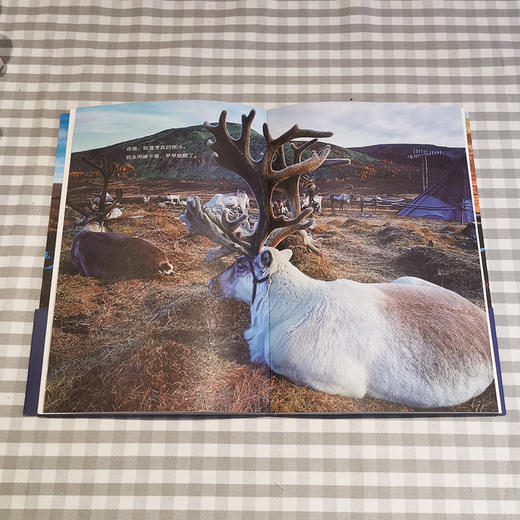 一定一定要找到你 商品图2