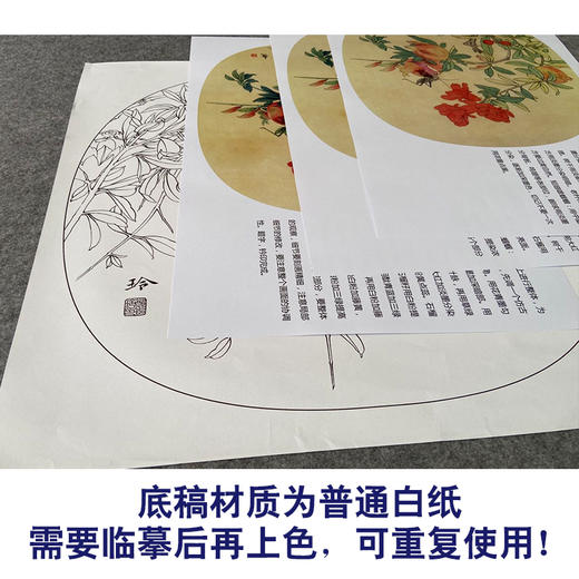 【有步骤、大彩图】郑玲玲工笔画白描底稿小品《硕实》石榴初学者临摹花鸟线稿ZL85 商品图3