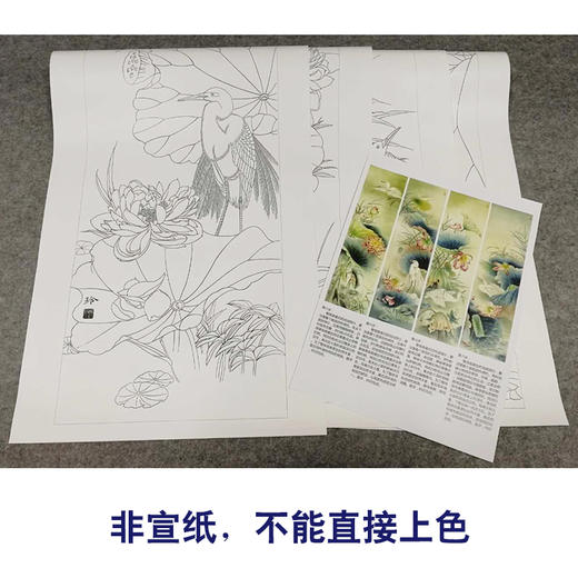 【有步骤、大彩图】郑玲玲工笔画白描底稿四条屏荷花图《荷塘鹭影》ZL99 商品图2
