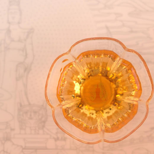 太姥山 太姥神韵2016年寿眉白牡丹5年陈老白茶茶砖577g/片 商品图3