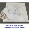 【有步骤、大彩图】郑玲玲工笔画白描底稿斗方小品《香风翠羽情意长》荷花初学者临摹花鸟线稿ZL89 商品缩略图1