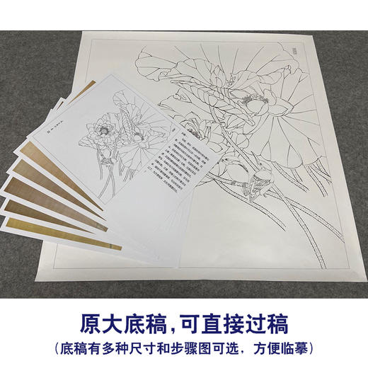 【有步骤、大彩图】郑玲玲工笔画白描底稿斗方小品《香风翠羽情意长》荷花初学者临摹花鸟线稿ZL89 商品图1