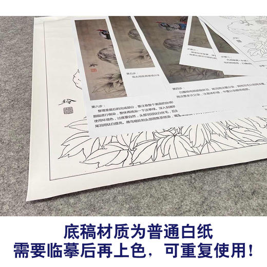 【有步骤、大彩图】郑玲玲工笔画白描底稿《暮暮朝朝》牡丹锦鸡初学者临摹花鸟线稿ZL53 商品图3