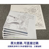 【有步骤、大彩图】郑玲玲工笔画白描底稿小品《雨后听竹声》锦鸡初学者临摹花鸟线稿ZL62 商品缩略图1