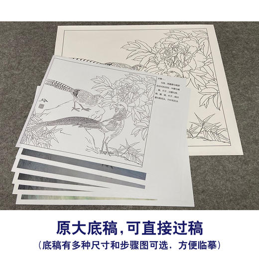 【有步骤、大彩图】郑玲玲工笔画白描底稿小品《雨后听竹声》锦鸡初学者临摹花鸟线稿ZL62 商品图1