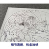 【有步骤、大彩图】郑玲玲工笔画白描底稿小品《碧荷生幽泉》荷花翠鸟初学者临摹花鸟线稿ZL80 商品缩略图4
