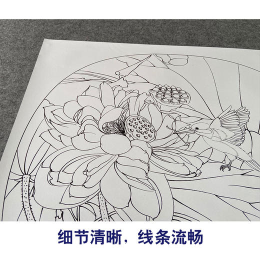 【有步骤、大彩图】郑玲玲工笔画白描底稿小品《碧荷生幽泉》荷花翠鸟初学者临摹花鸟线稿ZL80 商品图4