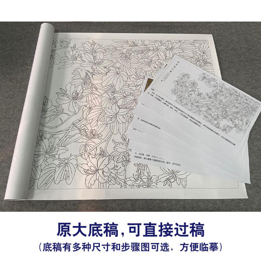 【有步骤、大彩图】郑玲玲横幅工笔画白描底稿《姹紫嫣红图》紫荆花初学者临摹花鸟线稿ZL94 商品图1