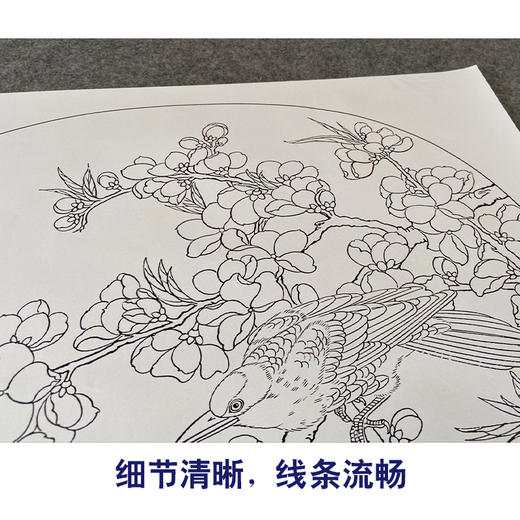 【有步骤、大彩图】郑玲玲工笔画白描底稿小品《飞花轻似梦》桃花黄鹂初学者临摹花鸟线稿ZL69 商品图4