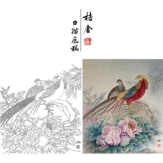 【有步骤、大彩图】郑玲玲工笔画白描底稿《福贵祥和图》牡丹锦鸡初学者临摹花鸟线稿ZL52 商品图0