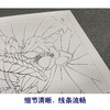 【有步骤、大彩图】郑玲玲工笔画白描底稿斗方小品《香风翠羽情意长》荷花初学者临摹花鸟线稿ZL89 商品缩略图4