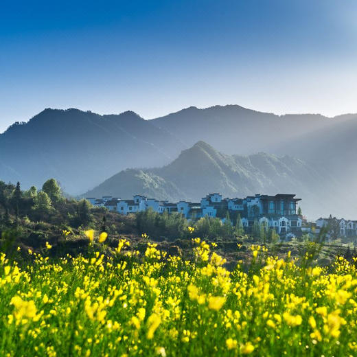 0元续住第三晚！3天2晚【黄山悦榕庄】周末不加价，元旦/春节可用！入住自驾联排别墅，含秋季下午茶、店内美景旅拍、日落仪式、萌宠互动、丰富休闲活动等，度假亲子两相宜，探皖南古风之旅！ 商品图8