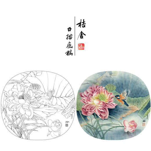 【有步骤、大彩图】郑玲玲工笔画白描底稿小品《碧荷生幽泉》荷花翠鸟初学者临摹花鸟线稿ZL80 商品图0