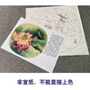 【有步骤、大彩图】郑玲玲工笔画白描底稿小品《雨后新荷》荷花蜻蜓初学者临摹花鸟线稿ZL82 商品缩略图2