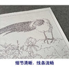 【有步骤、大彩图】郑玲玲工笔画白描底稿《聆听花语》牡丹锦鸡初学者临摹花鸟线稿ZL55 商品缩略图4