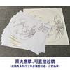 【有步骤、大彩图】郑玲玲工笔画白描稿圆形小品《临风独秀》石榴初学者临摹花鸟线稿ZL87 商品缩略图1