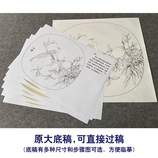 【有步骤、大彩图】郑玲玲工笔画白描稿圆形小品《临风独秀》石榴初学者临摹花鸟线稿ZL87 商品图1