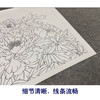 【有步骤、大彩图】郑玲玲横幅工笔画白描底稿《富贵长寿图》牡丹初学者临摹花鸟线稿ZL90 商品缩略图4